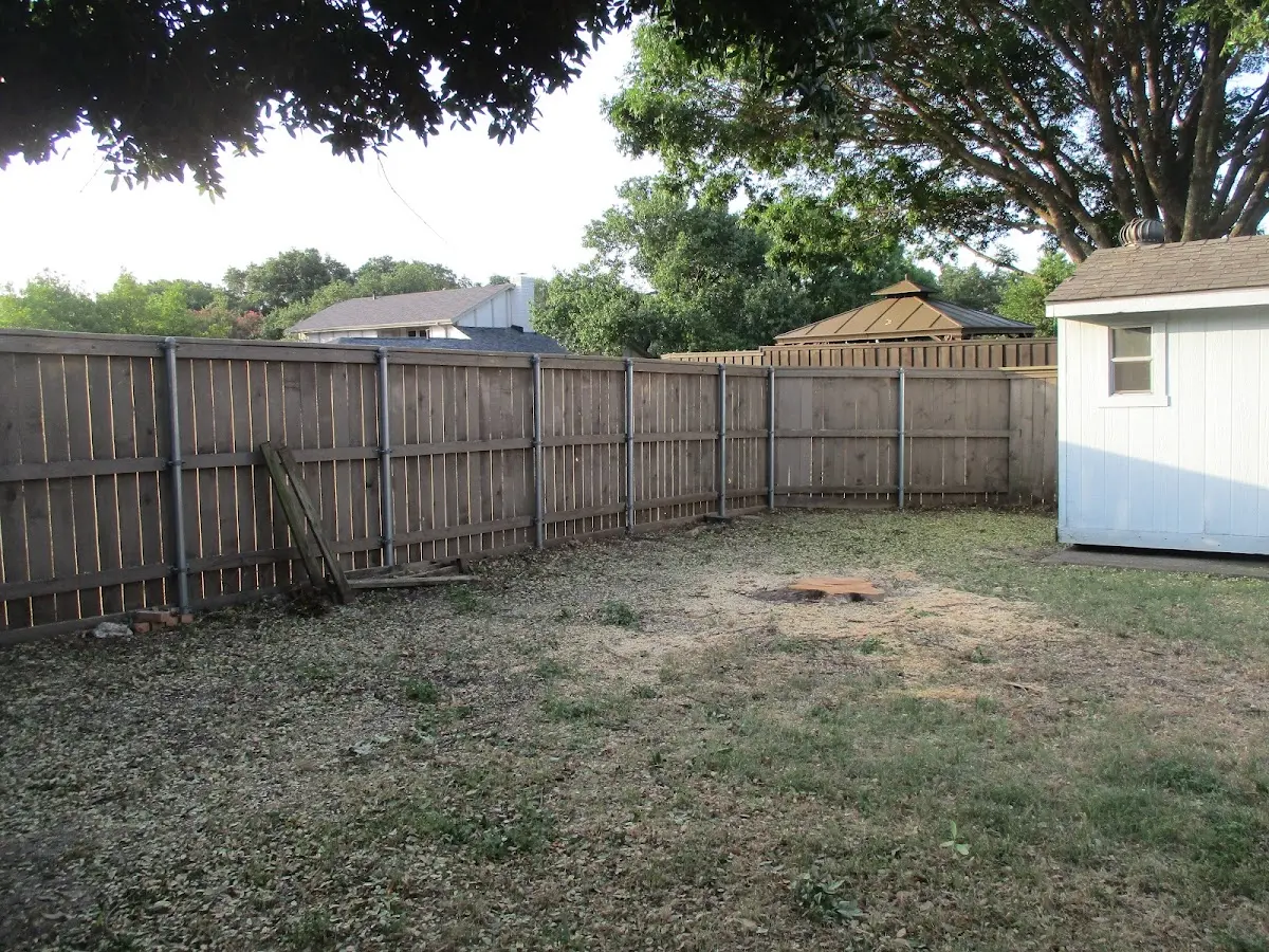 Cleared yard after professional tree removal in Hollsopple
